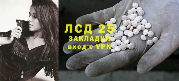 прущие грибы Армянск