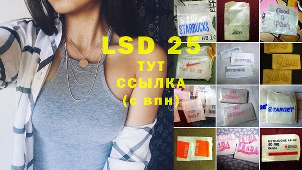 прущие грибы Армянск