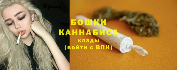 прущие грибы Армянск