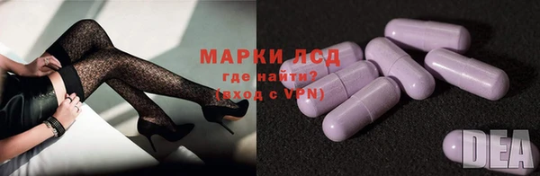 PSILOCYBIN Аркадак