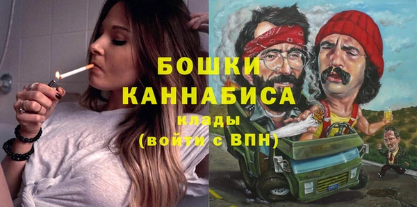 прущие грибы Армянск