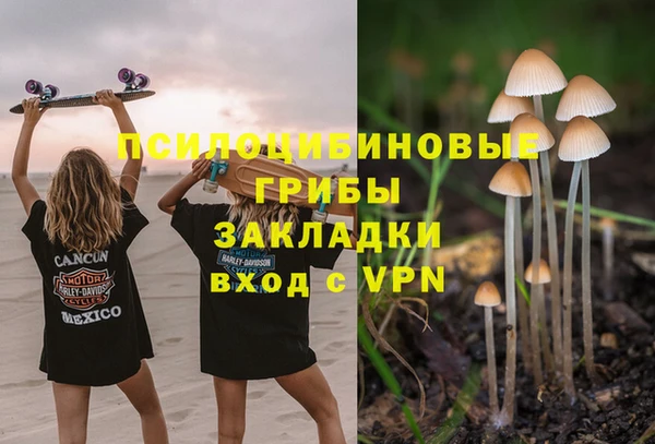 PSILOCYBIN Аркадак