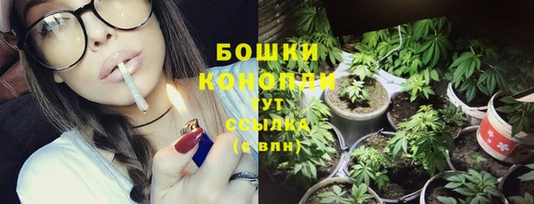 PSILOCYBIN Аркадак