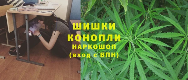 прущие грибы Армянск