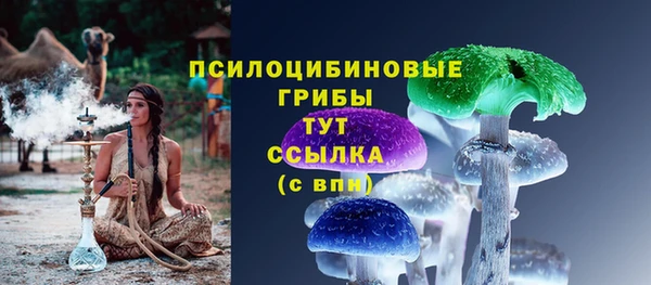 прущие грибы Армянск