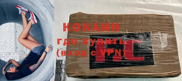 прущие грибы Армянск