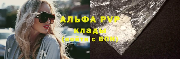 PSILOCYBIN Аркадак