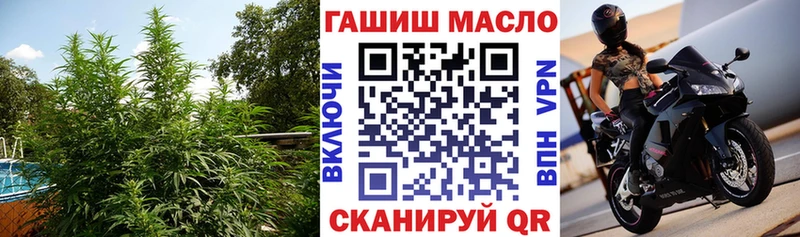 ТГК вейп  купить закладку  blacksprut   Бабушкин 