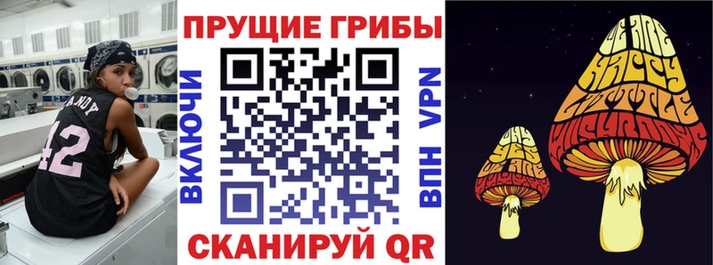 сайты даркнета официальный сайт Бабушкин Галлюциногенные грибы Psilocybine cubensis